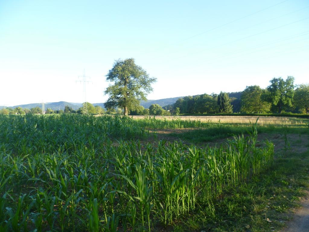 Privatzimmer Sonne Bad Säckingen Exterior foto
